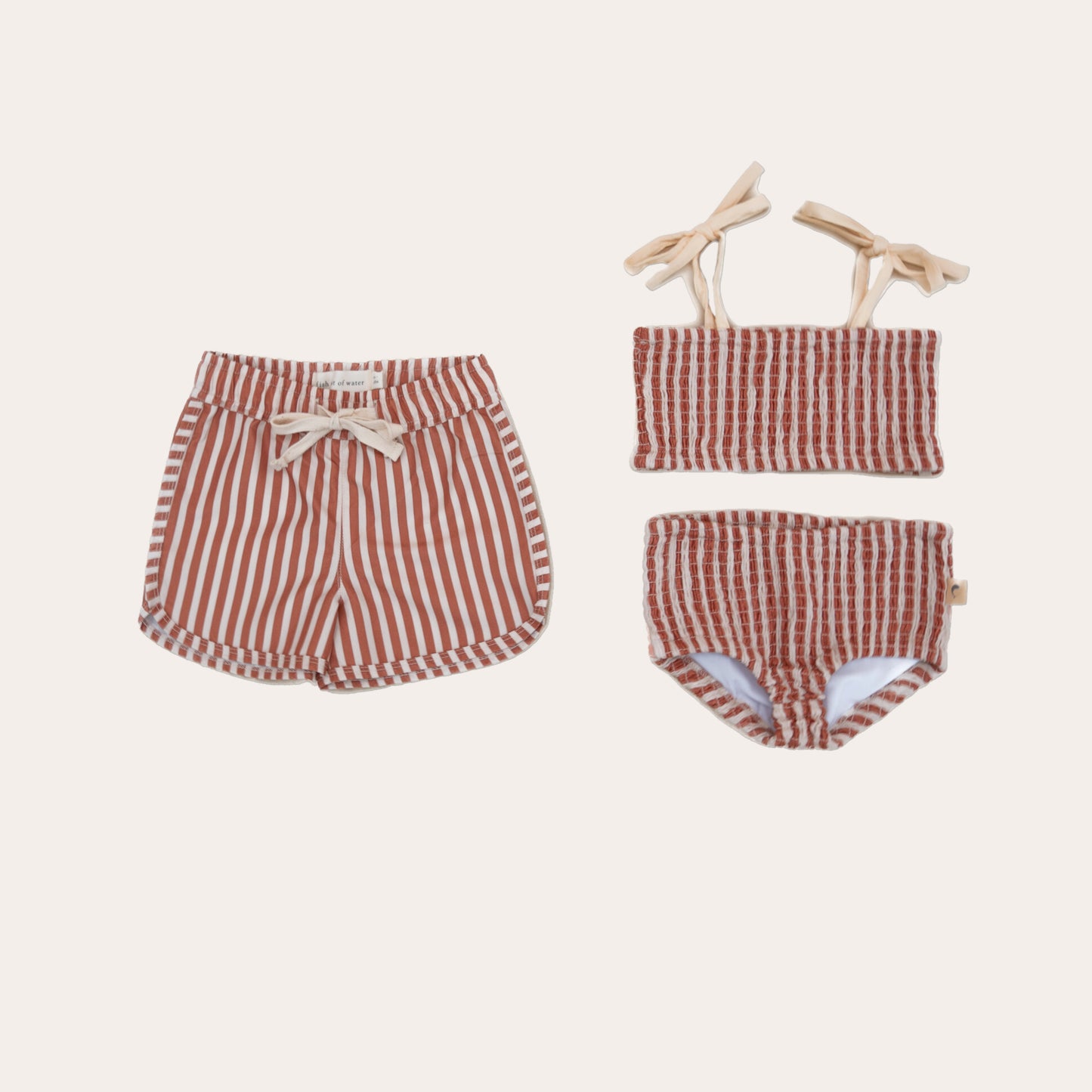 Rusty Stripe Smocked Bikini