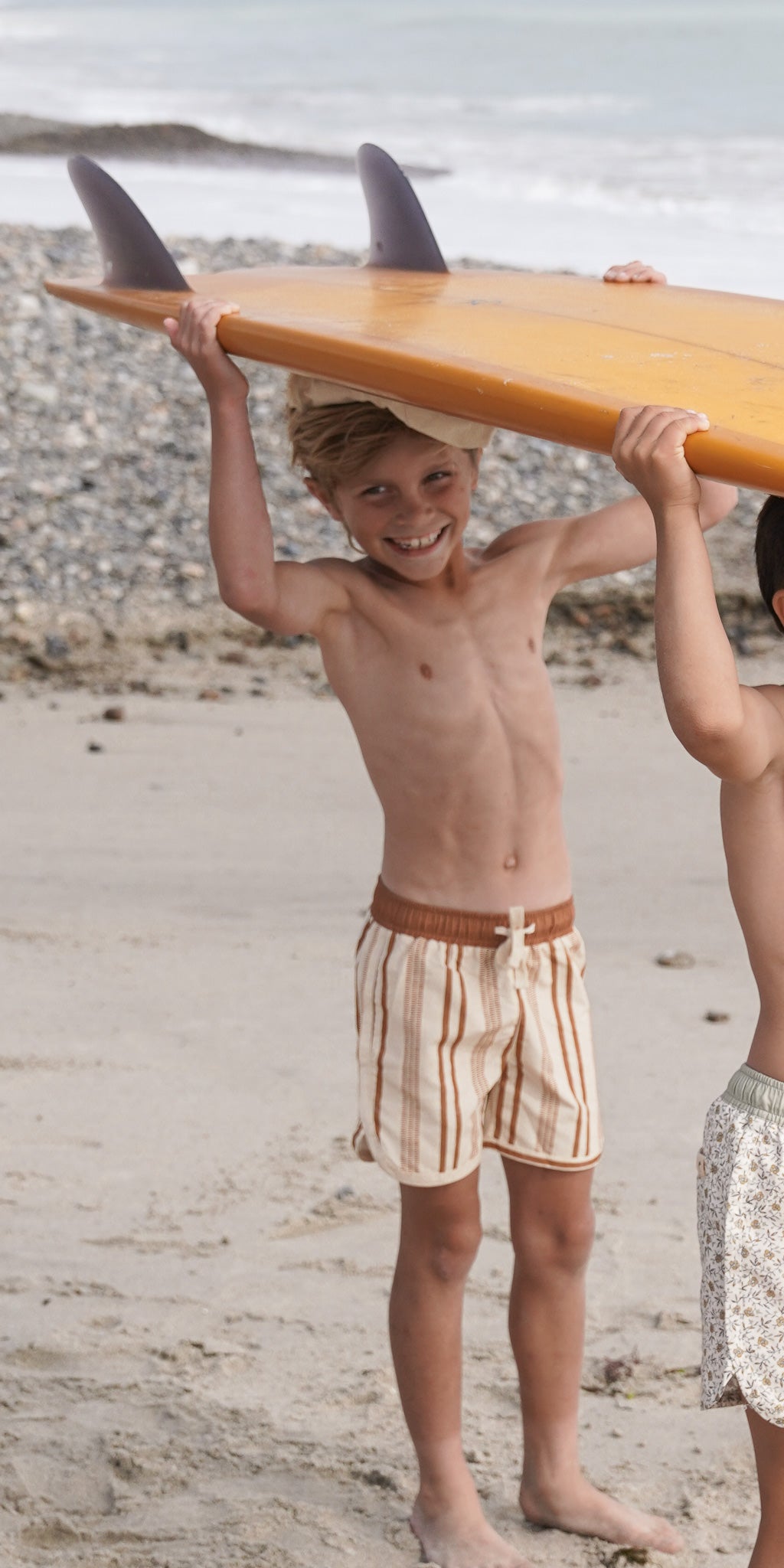 Cocoa Stripe boardshort