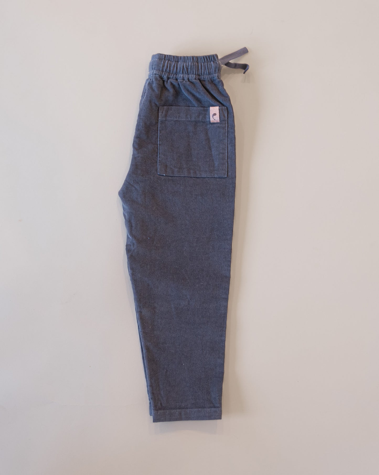 Faded Navy Corduroy Pants