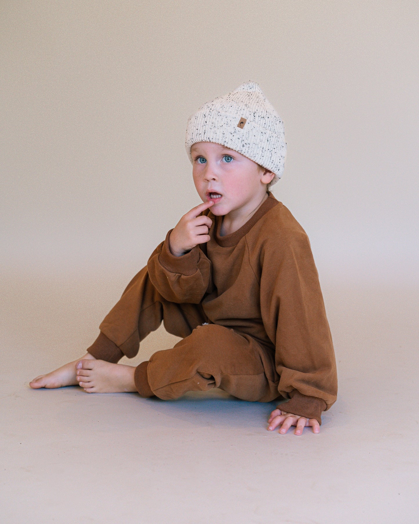 Wintry Speckled Beanie